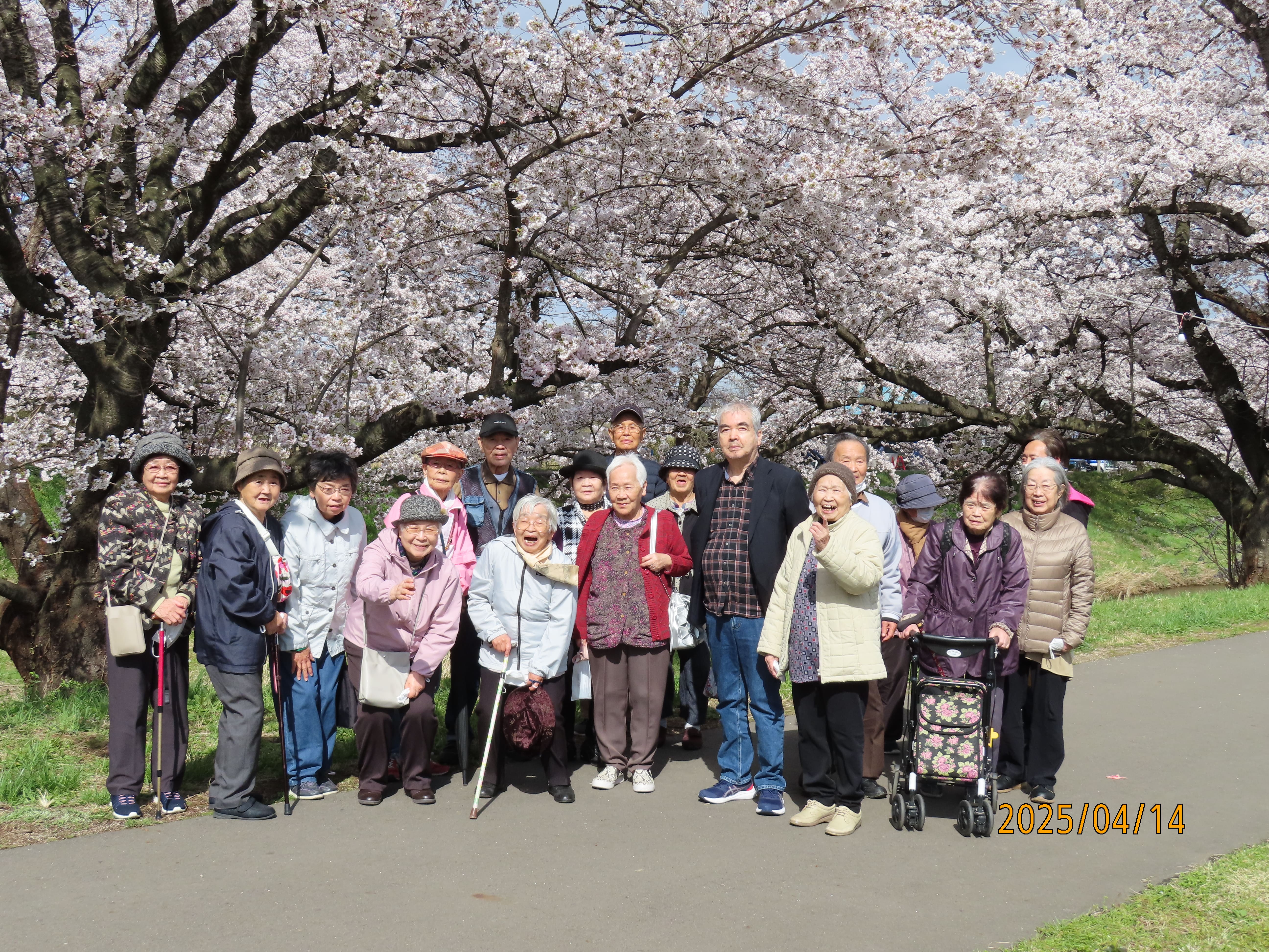 花見外出の様子